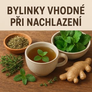 Jaké bylinky jsou vhodné při nachlazení?🤔 To se dozvíte v článku 👉...