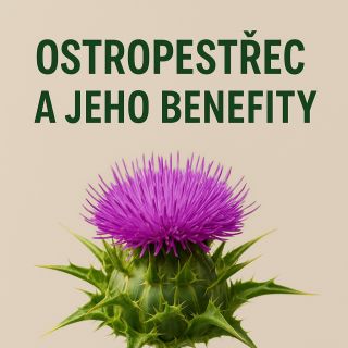 Jaké benefity má pro naše tělo ostropestřec? To se dozvíte zde 👉...
