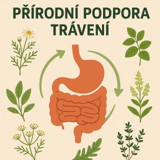 Blíží se čas vánoční a s tím i období, kdy se více přejídáme. Přečtěte si náš nový článek o bylinkách, které vám pomůžou v...